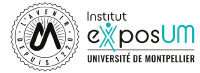 exposum Institute